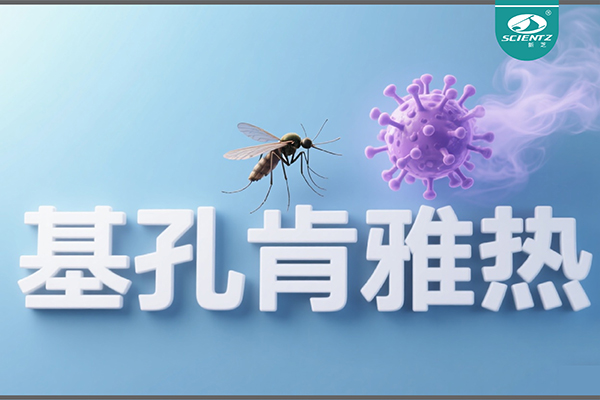 基孔肯雅熱疫情升級！新芝生物硬核技術(shù)助力病毒精準(zhǔn)診斷