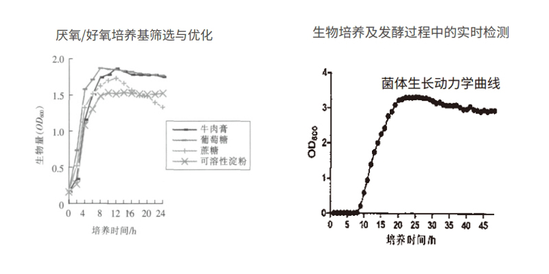 過程安全，結果精準