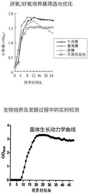 過程安全，結(jié)果精準